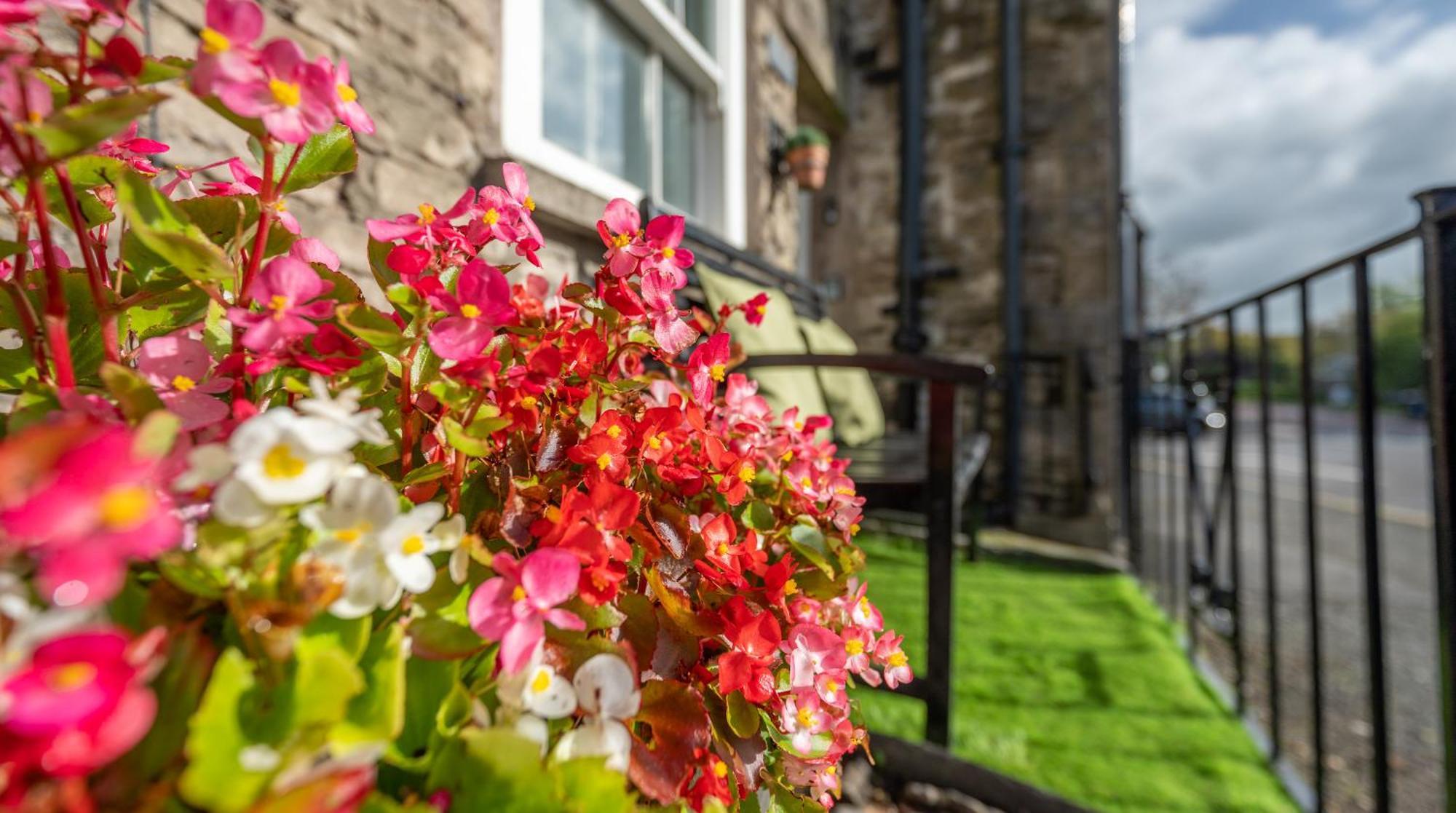 Wee Toad Hole Heart Of Kendal - Cottage Sleeps 4-6 - Dogs Welcome エクステリア 写真